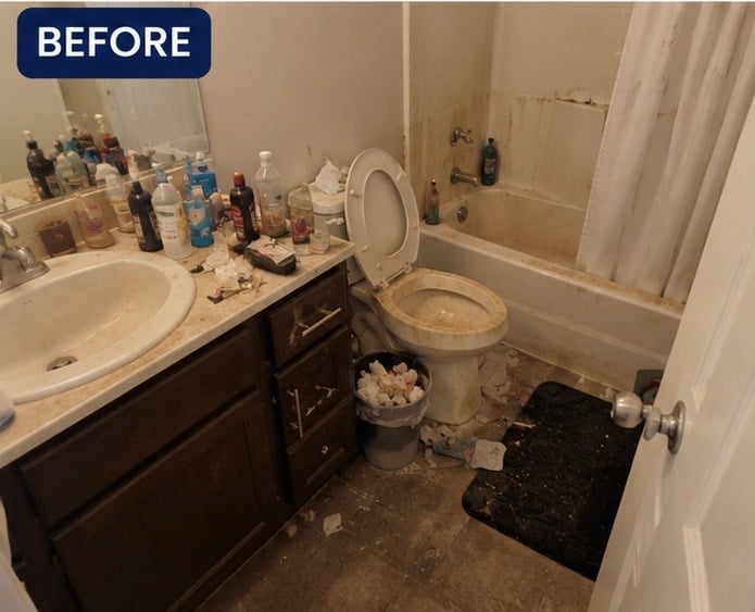 Before — Bathroom Sanitize